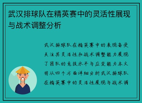 武汉排球队在精英赛中的灵活性展现与战术调整分析